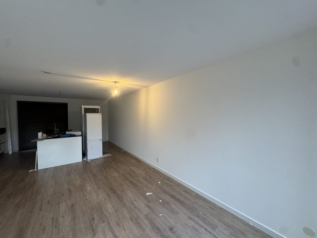 Lange lege woonkamer met open keuken, laminaat en een strakke lichte wand